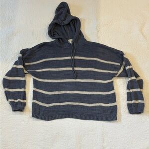 Garnet Hill hooded sweater